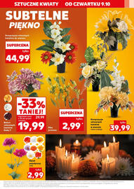Kaufland gazetka tydzień 41 Strona 15