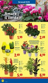 Volantino Lidl settimana 42 Pagina 44