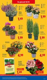 Volantino Lidl settimana 42 Pagina 45