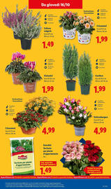 Volantino Lidl settimana 42 Pagina 45