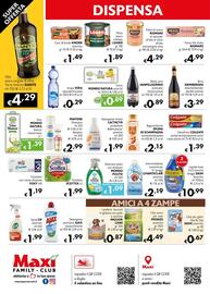 Volantino Maxi Family Pagina 4