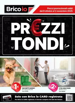 Volantino Brico Io (valido fino al 2-11)
