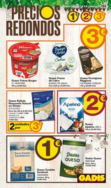 Folleto Gadis semana 41 Página 13