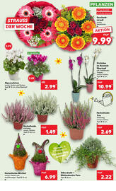 Kaufland Prospekt woche 41 Seite 5