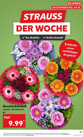 Kaufland Prospekt woche 41 Seite 55