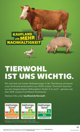 Kaufland Prospekt woche 41 Seite 63