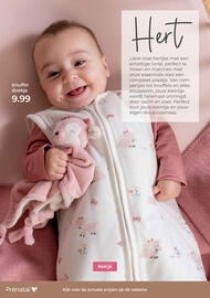 Prenatal folder Pagina 10