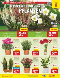 Netto Marken-Discount Prospekt woche 42 Seite 7