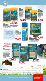 Zookauf Prospekt woche 41 Seite 6