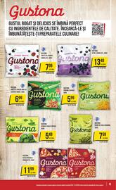 Catalog Mega Image săptămâna 41 Pagină 13