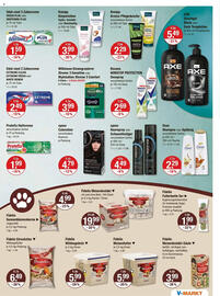 V Markt Prospekt woche 42 Seite 15
