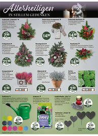 V Markt Prospekt woche 42 Seite 20