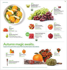 Publix weekly ad week 41 Page 6