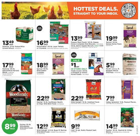 Mills Fleet Farm weekly ad week 41 Page 23