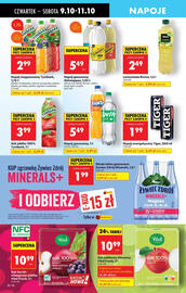 Biedronka gazetka tydzień 41 Strona 66