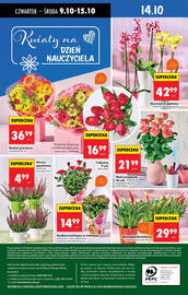 Biedronka gazetka tydzień 41 Strona 82