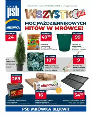 Mrówka gazetka (ważność do 23-10)