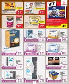 Selgros gazetka Strona 29