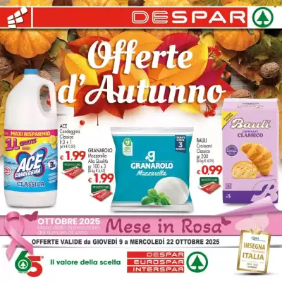 Volantino Despar (valido fino al 22-10)