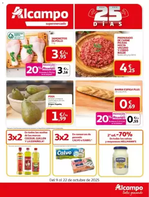 Folleto Alcampo supermercado (válido hasta el 22-10)