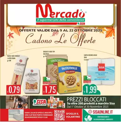 flyer-cover