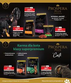 Kakadu gazetka Strona 7