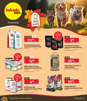Kakadu gazetka (ważność do 22-10)