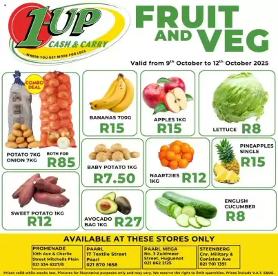 1UP catalogue (valid until 12-10)
