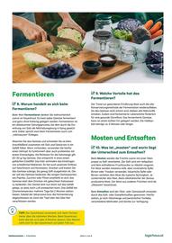 Salzburger Lagerhaus Flugblatt Seite 4