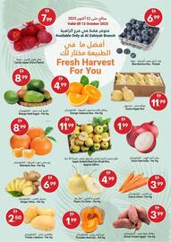 Grand Emirates Market catalogue Page 1
