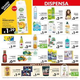 Volantino Maxi Supermercati Pagina 10