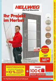 Hellweg Prospekt woche 42 Seite 9