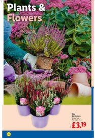 Lidl leaflet week 42 Page 22