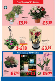 Lidl leaflet week 42 Page 23