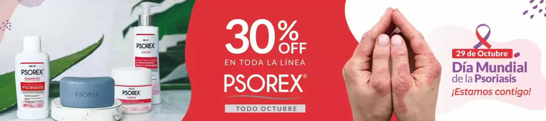 Catálogo Bassa (válido hasta 29-10)