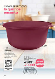 Folleto Tupperware Página 35
