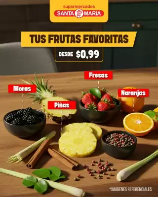 Catálogo Santa Maria (válido hasta 19-10)