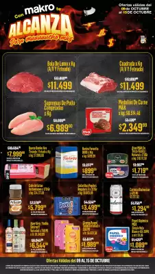 Catálogo Makro (válido hasta 15-10)