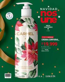 Catálogo Carmel Página 180