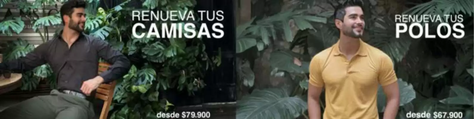 Catálogo VO5 (válido hasta 31-10)