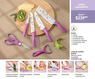 Catálogo Avon Página 17