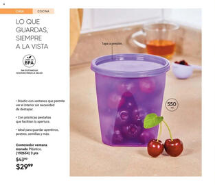 Catálogo Avon Página 42