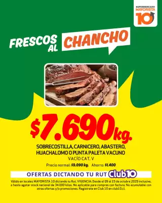 Catálogo Mayorista 10 (válido hasta 15-10)