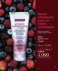 Catálogo Violetta Cosméticos Página 173