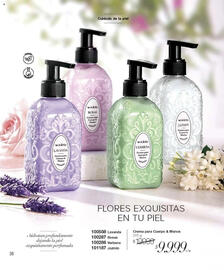 Catálogo Violetta Cosméticos Página 184
