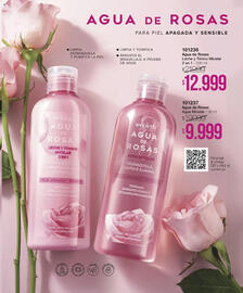 Catálogo Violetta Cosméticos Página 33