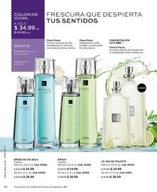 Catálogo L'bel Página 24