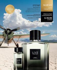 Catálogo L'bel Página 27