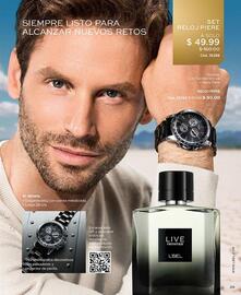 Catálogo L'bel Página 29