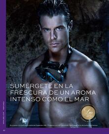 Catálogo L'bel Página 32